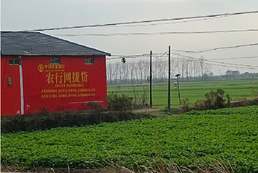 大悟如何防止墙体广告褪色呢？