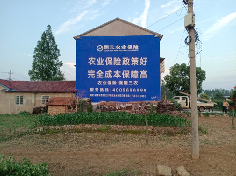 大悟墙体广告的优劣势你知道吗？